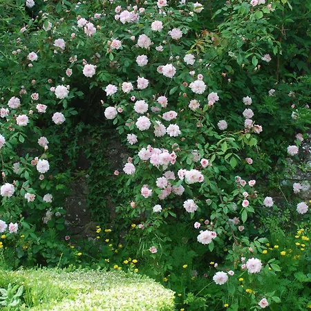 De Charme&jardin Exceptionnel à 800 M De La Casa vacanze *