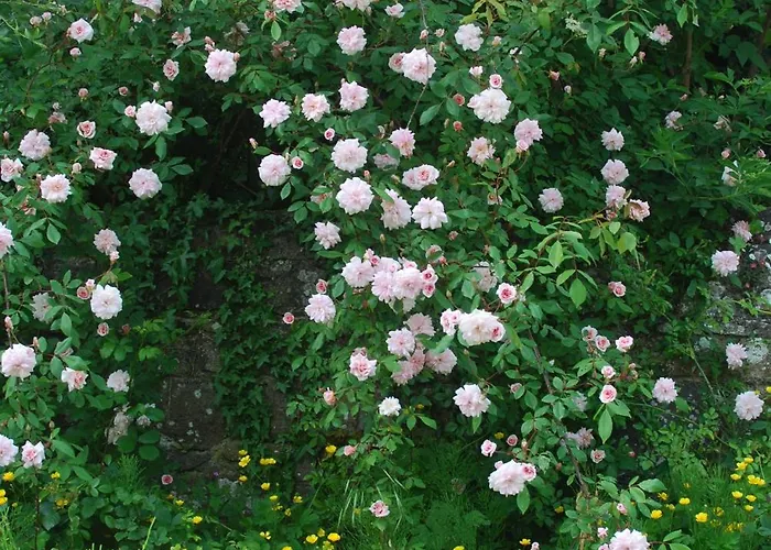 La Charretterie, Cosy A 800 M De La Jardin Exceptionnel By Maison Melchior Дом отдыха *