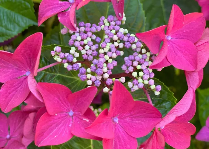 Дом отдыха La Charretterie, Cosy A 800 M De La Jardin Exceptionnel By Maison Melchior Фламанвиль